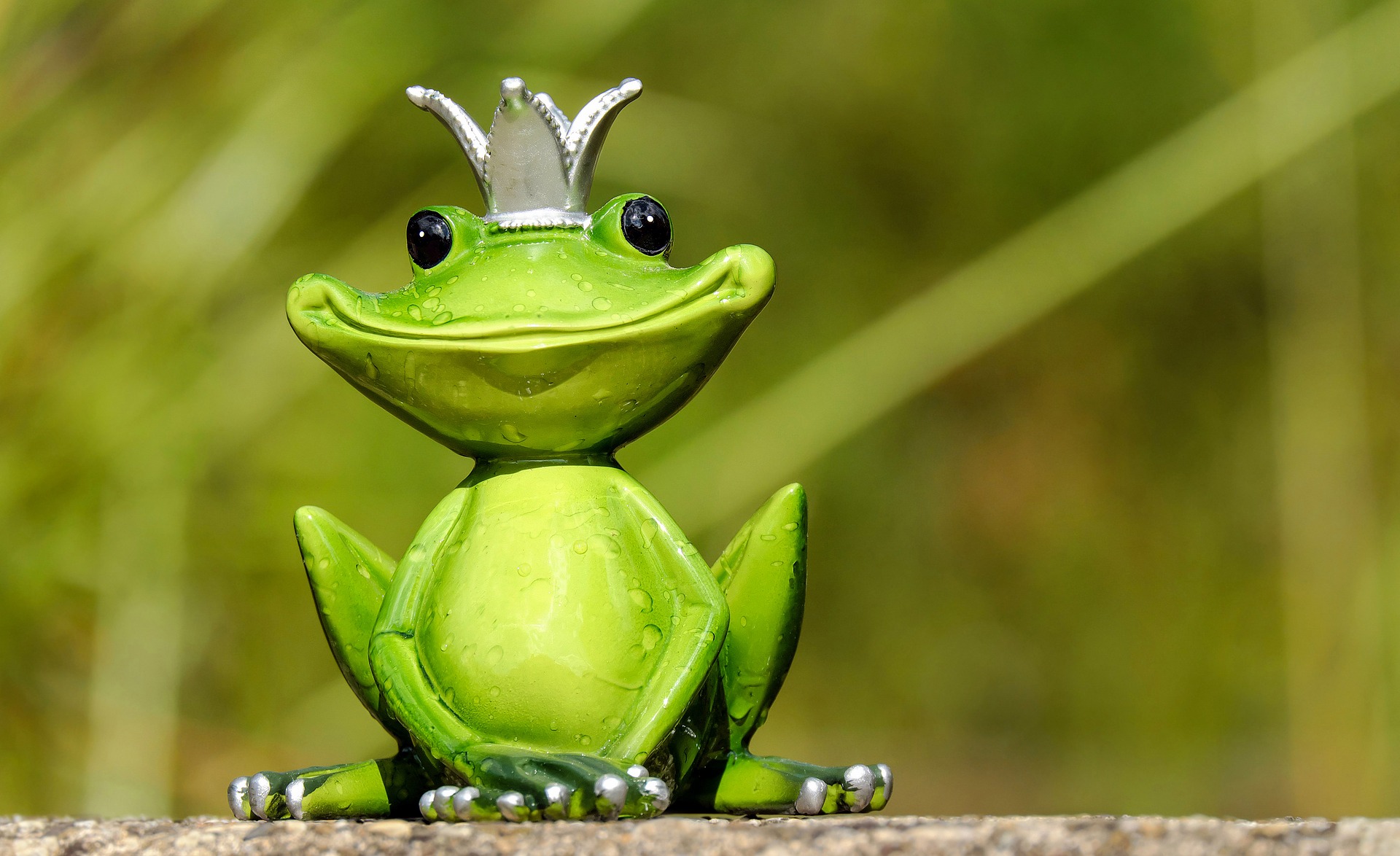 Mơ thấy ếch: giải mã giấc mơ và ý nghĩa theo tâm linh – tâm lý