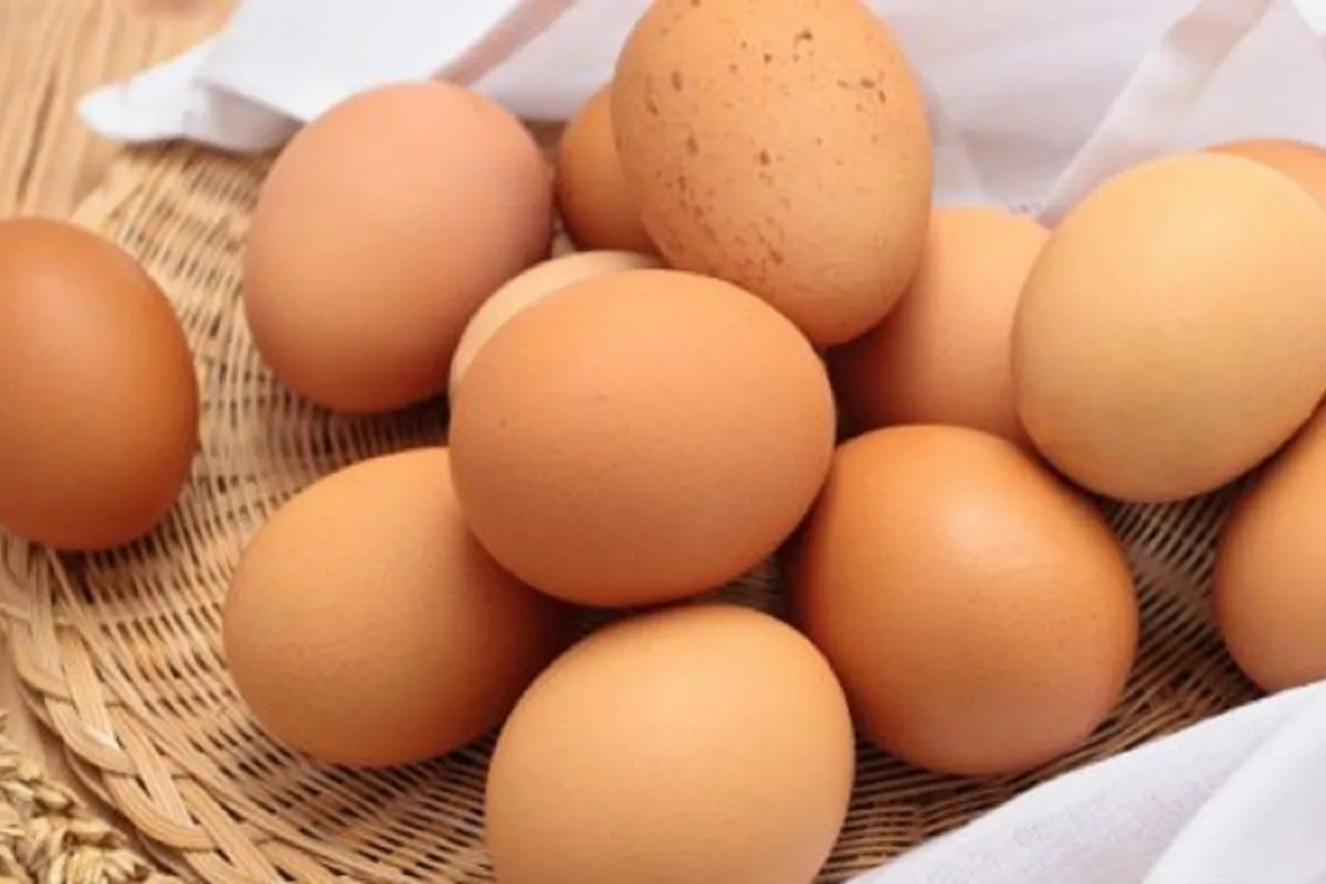 Mơ thấy trứng: Giải mã ý nghĩa và điềm báo trong từng trường hợp Mơ thấy trứng: Giải mã ý nghĩa và điềm báo trong từng trường hợp