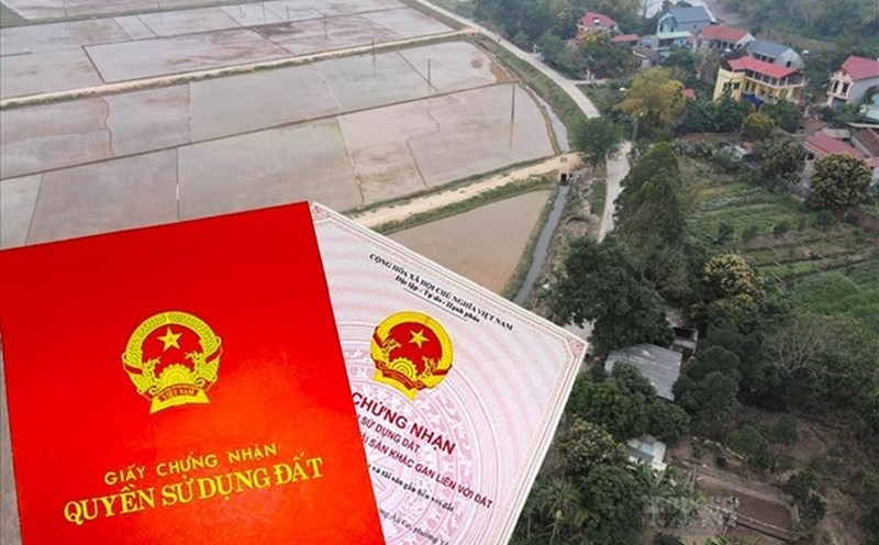 Giới thiệu chung về giấc mơ mơ thấy mua đất Giới thiệu chung về giấc mơ mơ thấy mua đất