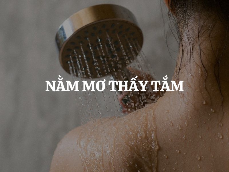 Giới thiệu chung về giấc mơ tắm Giới thiệu chung về giấc mơ tắm